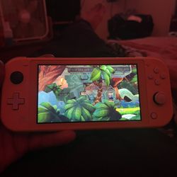 Nintendo Switch Lite 