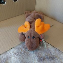 Chocolate  The Beanie Baby