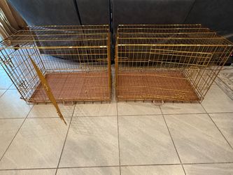 Gold 36” dog crates with trays