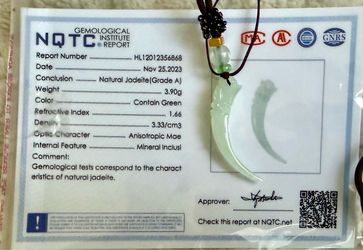 Certified Icy Green Burma Natural A Jade jadeite Pendant Dragon tooth