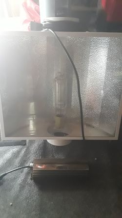 GROWLIGHT (complete)