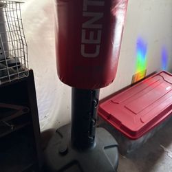 Century Punching Bag 