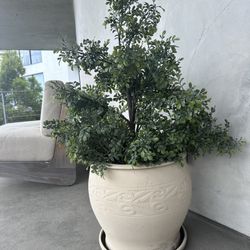 Fake Plant and Ceramic Potter 