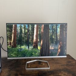 HP monitor