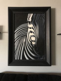 Zebra Picture