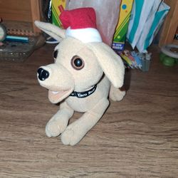 Taco Bell Chiwawa Talking Dog