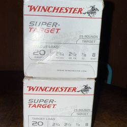 Winchester Super-Target 20 Gauge 2 3/4" 7/8 oz #8 Shot