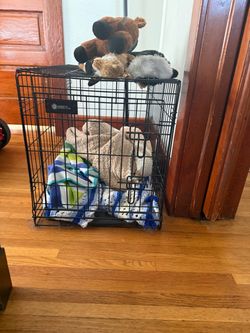Kennel