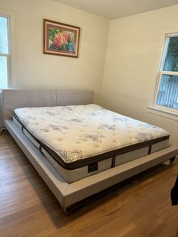 King Bed Frame - NEED GONE ASAP