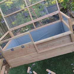 tomatoes raised bed