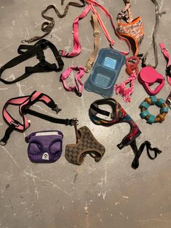 Dog designer collars/leash