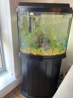 Fish tank Everything but the stand