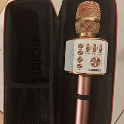Karaoke microphone