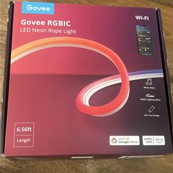 Govee neon light strip