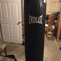 Everlast Hanging Punching Bag Thumbnail