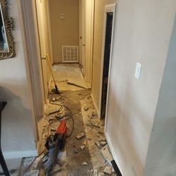 Hammer, Demolition And More 