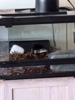 Front open reptile enclosure.