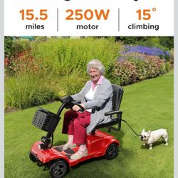 Engwe Mobility Scooter 