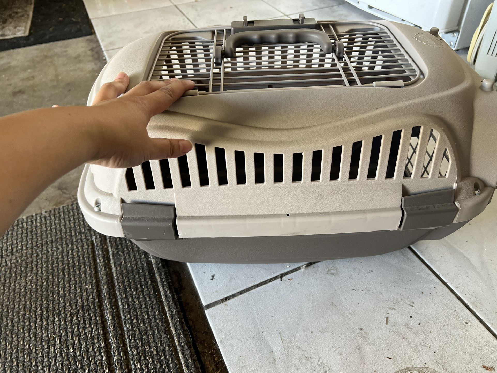 Cat Carrier - Small - $10