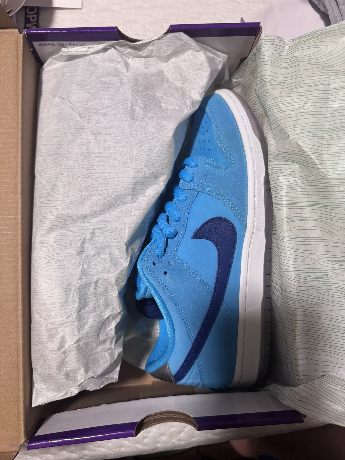 Nike Dunk Sb Low Fury Men’s Size 8