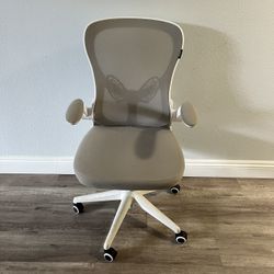 Ergonomic Office Chair Grey And White (UTC Area)