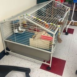 Guinea Pig Cage
