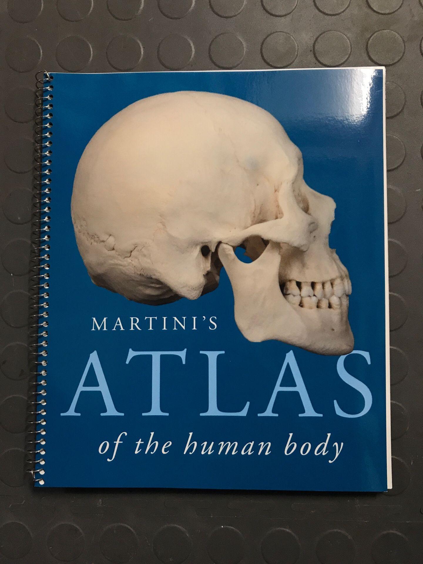 Martini’s Atlas of the human body