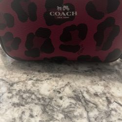 Coach Small Crossbody