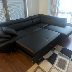 Giant Sofa With Pullout Bed 