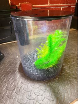 Fish tank