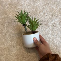 Fake Plant w/ Pot