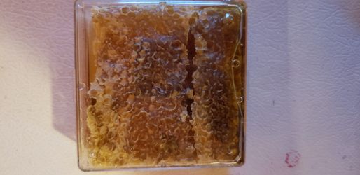 Honey