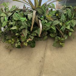 Silk plants Large And Small