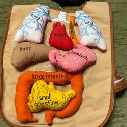 Body Organ Anatomy Children’s Vest 