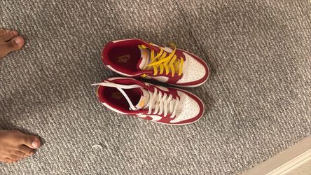 Dunk low USC