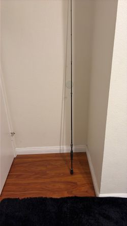 Fishing rod