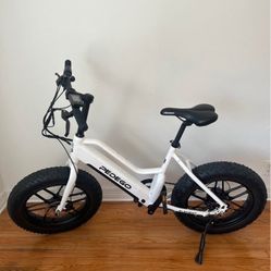 Electric Bike 