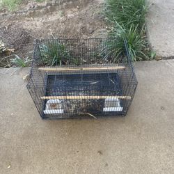 Bird Cage 