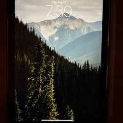 iPad mini 7th Generation With Apple Pencil Pro