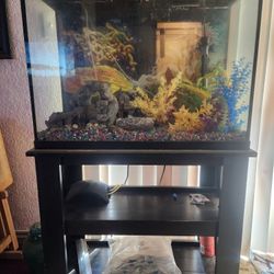35 Gal Fish Tank With Stand & Accessories 