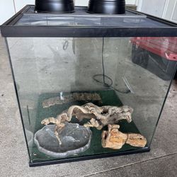 Reptile Tank $30