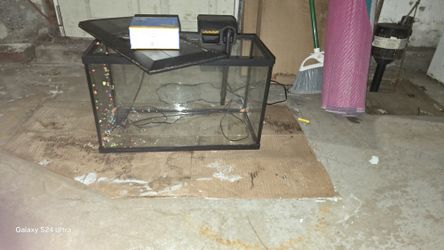 10 Gallon Fish Tank