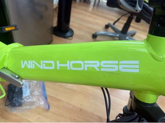 Windhorse electric scooter