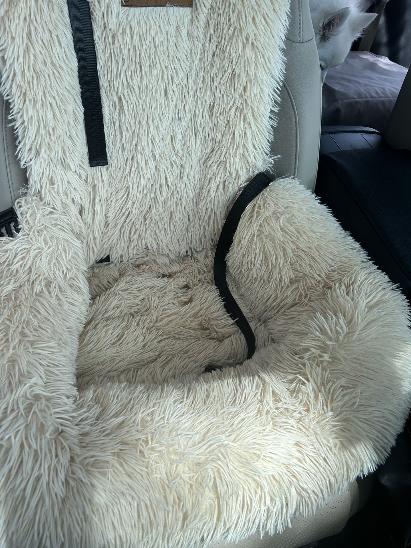 Doggy Car Seat