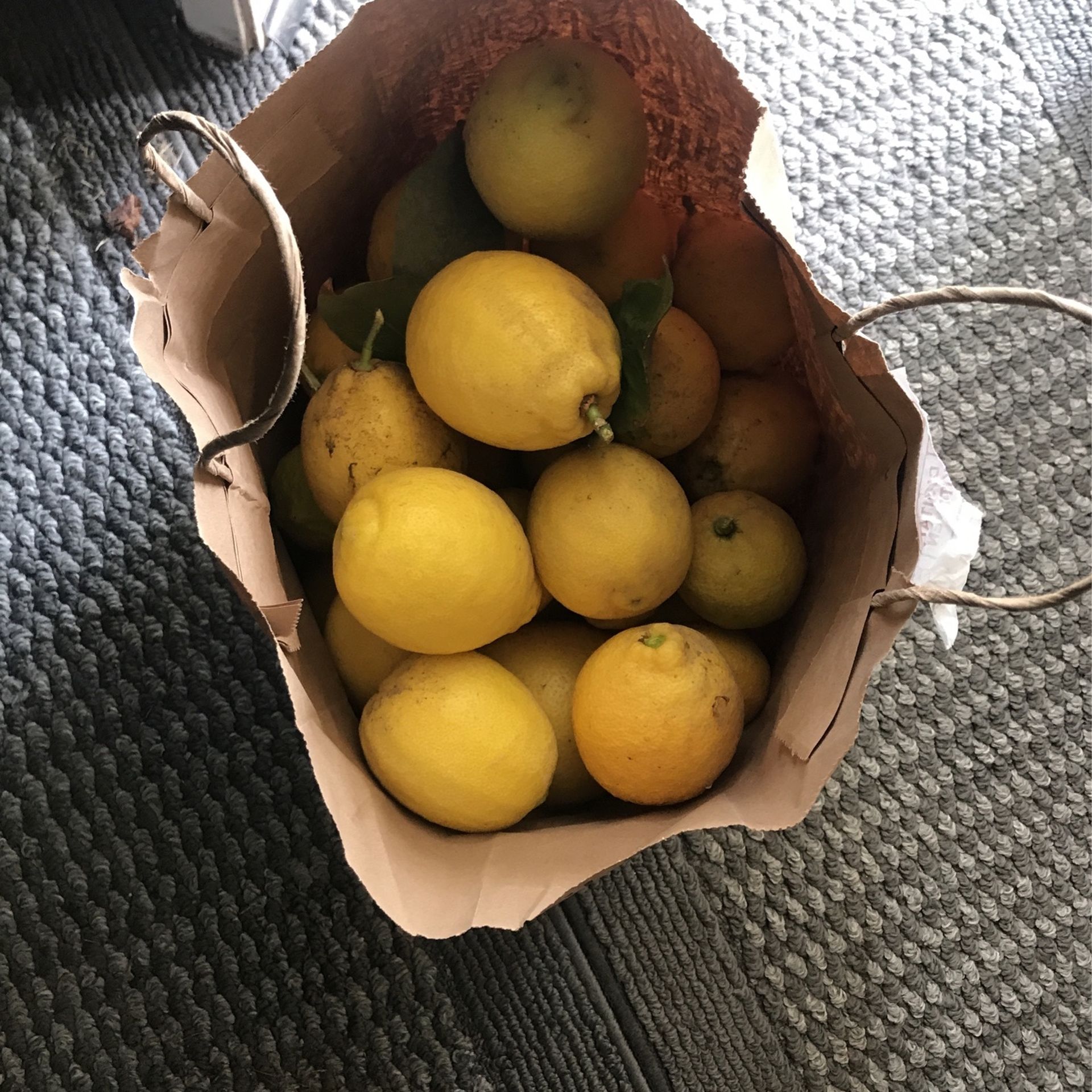 Bag Of Fresh Lemons