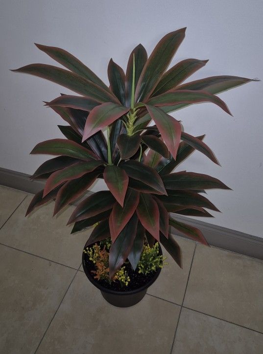 *** NEW LOW PRICE *** 4ft Artificial Red Dracaena Topped / Sealed with Obsidean Stone / Lavender / Gypsophila in 12" Resin Planter @ Lasting Creations