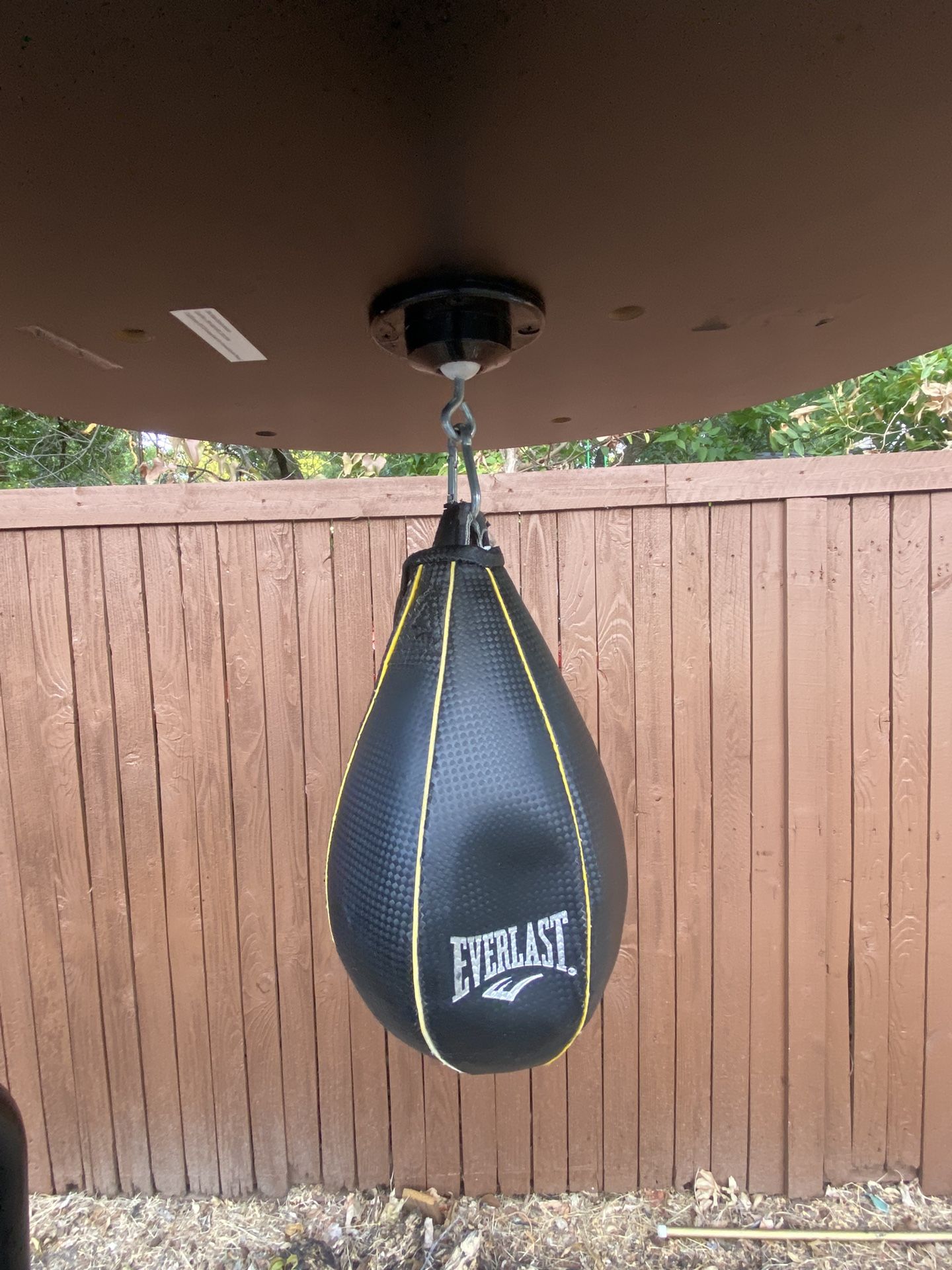 Everlast Speed Bag – Sacco Da Boxe Veloce Per Allenamento E Reattività