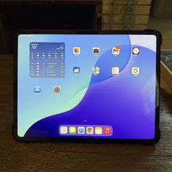 13” iPad Pro M4 5G (AT&T) - Box & Case - iCloud Unlocked - Excellent!