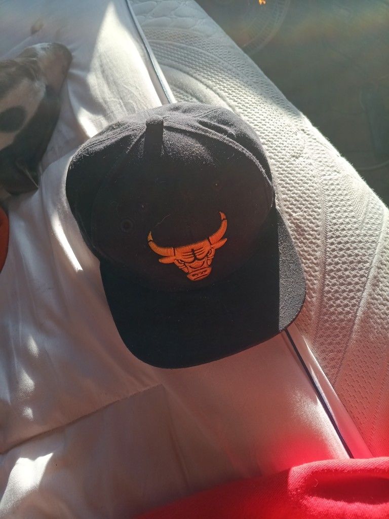 NBA Evolution Snapback Chicago Bulls Hat