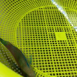 Fish Tank Parrot Decoration 